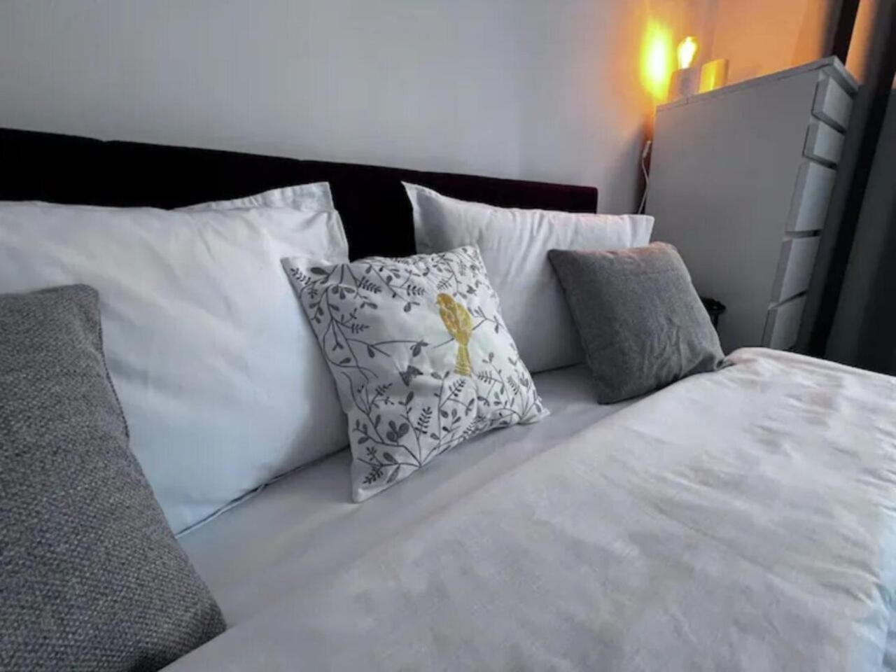 Villa Luminoasa Cu Curte Privata Bucarest