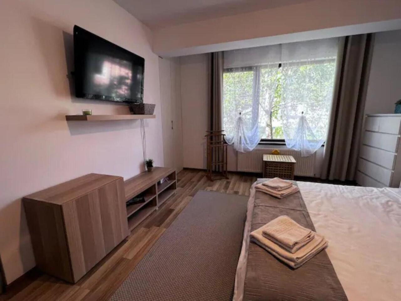 Villa Luminoasa Cu Curte Privata Bucarest